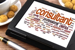 consultant