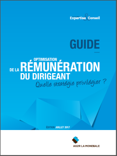 image-Guide rmunration