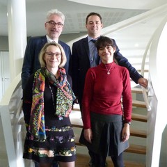 strego-4 associes